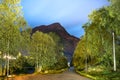 Night view of the coastline road of Skjolden next to the road Fv 331 and the Eidselvi River