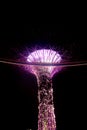 A night view of colorful super tree at garden by the bay