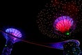 A night view of colorful super tree at garden by the bay