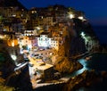 Night view of Manarola, Italy