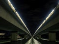 Night view of the Commonwealth Avenue bridges from underneath Royalty Free Stock Photo