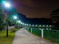 Night view of a curved pathway in Springleaf Nature Park in tropical Singapore. Royalty Free Stock Photo