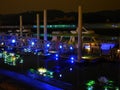 Night view of the Dajia Riverside Park harbor during Taipei International Flora Exposition