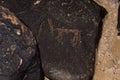 A night  view of a drawing depicting a horned animal carved in stone by a primitive man in the desert in southern Israel near the Royalty Free Stock Photo