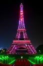 Night view of eiffel tower at windows of the world at Shenzhen, china