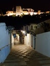 Night view of the famous Alhambra palace in Granada from Albaicin quarter,