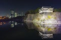 Night view of the famous Osaka Castle Royalty Free Stock Photo