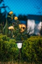 Night View Of Flowerbed Illuminated By Energy-Saving Solar Powered Lantern On Courtyard. Beautiful Small Garden Light Royalty Free Stock Photo