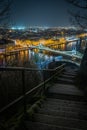 Night view of Freedom Bridge in Budapest, Hungary Royalty Free Stock Photo