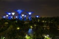 Night view of the garden singapore