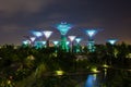 Night view of the garden singapore