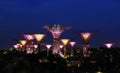 Nightscop of gardens by the bay in singapore Royalty Free Stock Photo