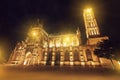 Night view of gothic Catholic Cathedral