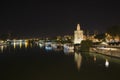 Night view of the Guadalquivir river in Seville, Spain. Royalty Free Stock Photo