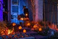 Night view of a house with halloween decoration Royalty Free Stock Photo