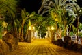 Night view of illuminated park with green plants, lights and small bridge over stream near the sea. Europe Royalty Free Stock Photo