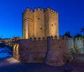 night view of the illuminated roman bridge over river guadalquivir with the la mezquita cathedral and calahorra tower in