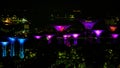 Night view of illuminated Supertrees in Gardens by the Bay, Singapore.