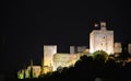 Night view of La Alhambra. Grenada Royalty Free Stock Photo