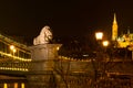 Night view lion statue at the Chain bridge, Budapest, Hungary Royalty Free Stock Photo