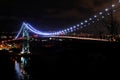 Night View of Lions Gate Bridge Royalty Free Stock Photo