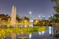 Night view of the Los Angeles skyline Royalty Free Stock Photo