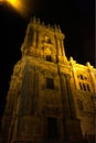 The night view of Malaga Cathedral