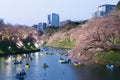 Night view of massive cherry blossoming with Tokyo city as background. Photoed at Chidorigafuchi, Tokyo, Japan..