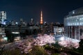 Night view of massive cherry blossoming with Tokyo tower, Japan Royalty Free Stock Photo