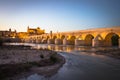 Night view of Mezquita-Catedral and Puente Romano - Mosque-Cathedral and the Roman Bridge in Cordoba, Andalusia, Spain Royalty Free Stock Photo