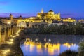 Night view of Mosque-Cathedral and the Roman Bridge in Cordoba, Andalusia, Spain Royalty Free Stock Photo