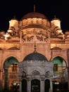 Night view of New Mosque, Istanbul, Turkey Royalty Free Stock Photo