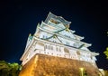Night view of Osaka Castle in Japan Royalty Free Stock Photo