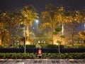 Night view outside five star hotel in Delhi India, Green trees with light view during night Royalty Free Stock Photo