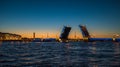 Night view of Palace Bridge, Saint Petersburg, Russia