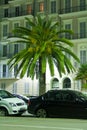 Night view Palm trees in Nice. Cote d'Azur. Mediterranean resort. France Royalty Free Stock Photo