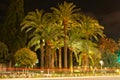 Night view Palm trees in Nice. Cote d'Azur. Mediterranean resort. France Royalty Free Stock Photo