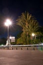 Night view Palm trees in Nice. Cote d'Azur. Mediterranean resort. France Royalty Free Stock Photo