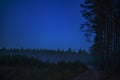 Pine forest at night Royalty Free Stock Photo