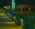 Night view of public park with Christmas lights on the bushes Royalty Free Stock Photo