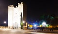 Night view of Puente de Alcantara in Toledo Royalty Free Stock Photo