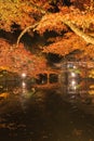 Night view of the red maple trees and garden at Daigo-ji Temple, Kyoto, Japan Royalty Free Stock Photo