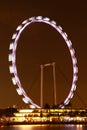 Nightscop of singapore flyer Royalty Free Stock Photo