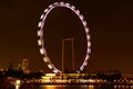 Night scene of singapore flyer Royalty Free Stock Photo