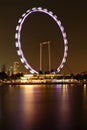 Night scene of singapore flyer Royalty Free Stock Photo