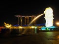 Night view of singapore wide angle view with merlion and marina