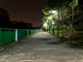 Night view of a straight pathway in Springleaf Nature Park in Singapore