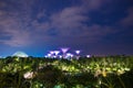 Night View Of Supertree Garden, Garden By The Bay, Singapore
