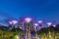 Night view of super tree grove in Gardens by the Bay in Singapore Royalty Free Stock Photo