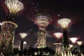 Night View of the Supertree Grove